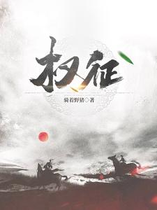 权征是什么意思