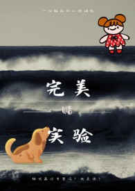 完美实验汤底