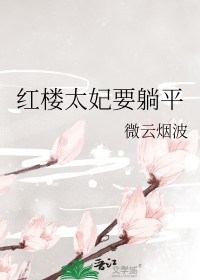 红楼之太太