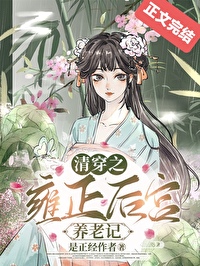清穿之雍正皇贵妃