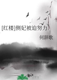红楼侧妃被迫努力笔趣阁免费阅读全文