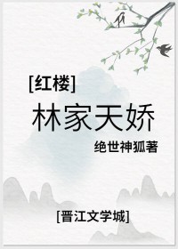 红楼林家攻守