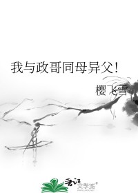我与政治