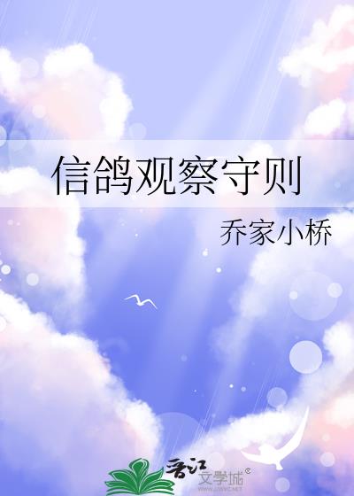 鸽子观察记录