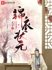 锦衣状元TXT