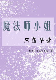 魔法师完结