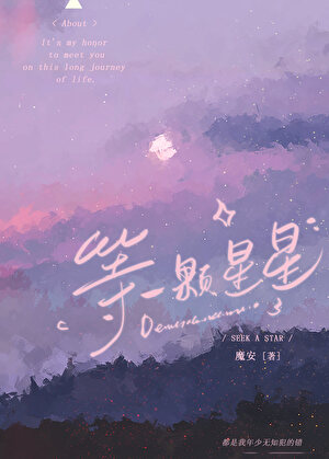 等一颗星星宋星