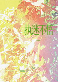 执迷不悟简介