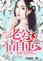 第一宠婚老公别太坏全文免费阅读