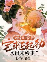 女主角叫安锦绣的