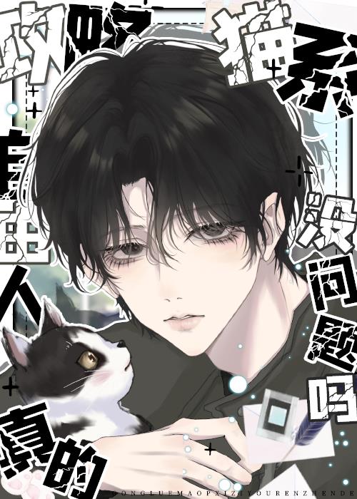 攻略猫系二传真的没问题吗gl