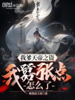 叶天苏美风全文在线阅读
