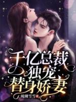 苏浅傅景琛名
