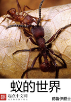 蚁的世界 第501章