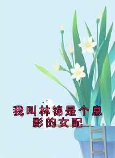 主角叫林沐白的