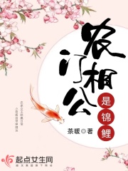 农门相公是锦鲤 起点中文网