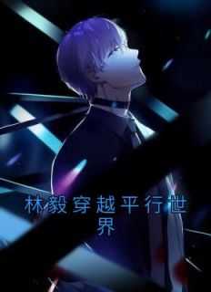 主人公叫林毅