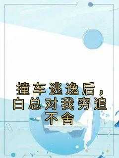 撞到车肇事逃逸