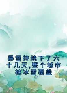 下暴雪的城市