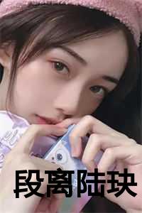 陆芷段奕