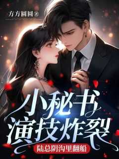 陆总的秘密情人