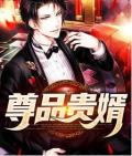 第一废婿江炎免费全文阅读
