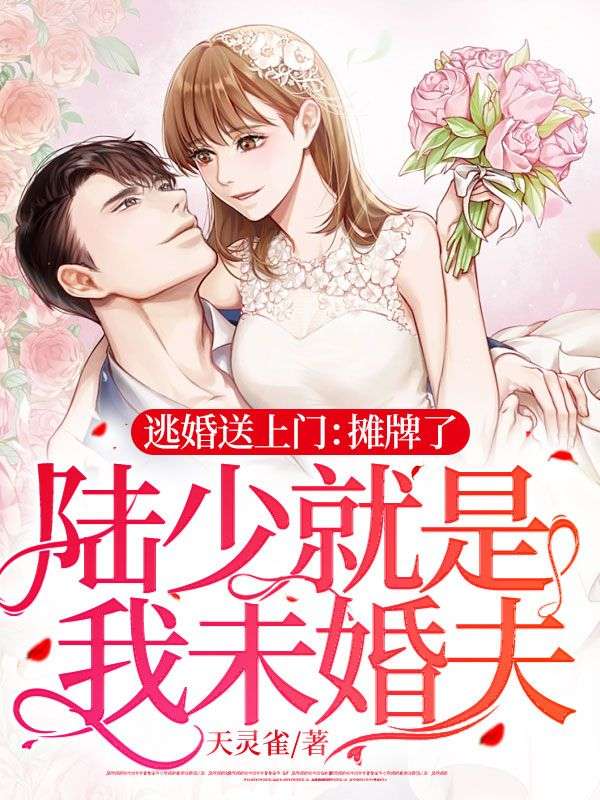 逃婚路上我升官发财