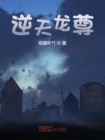 陆鸣秋月免费阅读