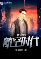 腾飞我的航空时代d