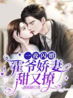 一夜闪婚霍爷娇妻甜又撩 茶缺缺
