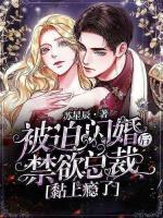 傅霆寒苏晓晓