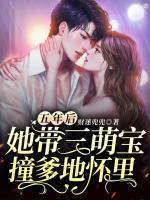 她带三萌宝撞爹地怀里了