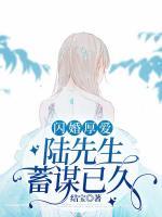 沈乔陆泽安的免费阅读
