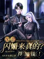 沈总裁是什么电视剧