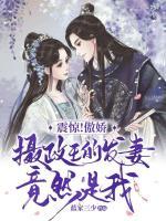 摄政王的傲娇男妃帝倾月