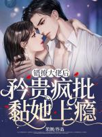 时镜集
