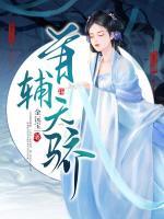 贺云昭