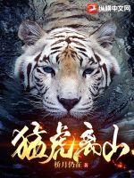 猛虎离山桥月