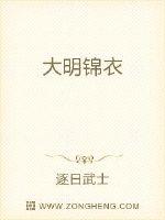 大明锦衣镇天下免费