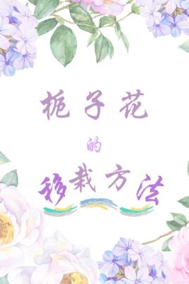 乔乔全文阅读