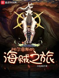 阿尔宙斯的海贼之旅无错