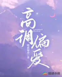 高调偏爱笔趣阁