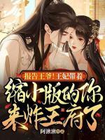 报告王爷!王妃带着缩小版的你来炸王府了 阿湫湫