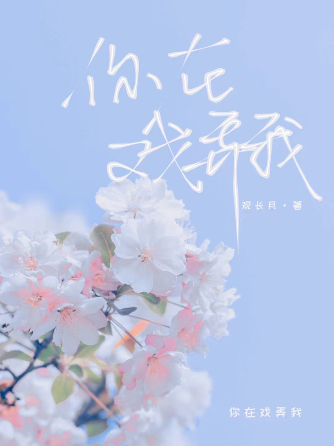 你在戏弄我作者观长月