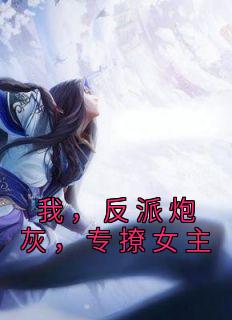 专撩女主相似的书