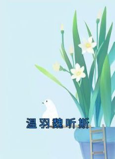 女主温茜