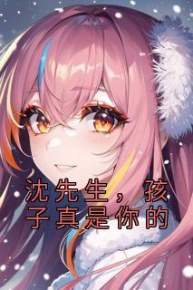 沈先生孩子真是你的 沐茶茶