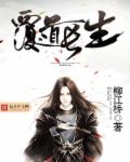 沈星然陆斯衍全集阅读