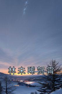 女主叫林未晞