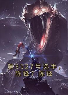 陈锋是哪里人